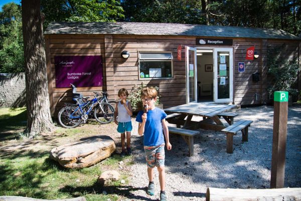 Burnbake Forest Lodges And Campsite Gallery 39