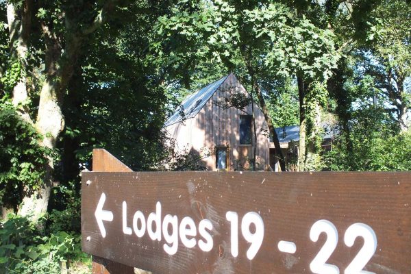 Burnbake Forest Lodges And Campsite Gallery 51