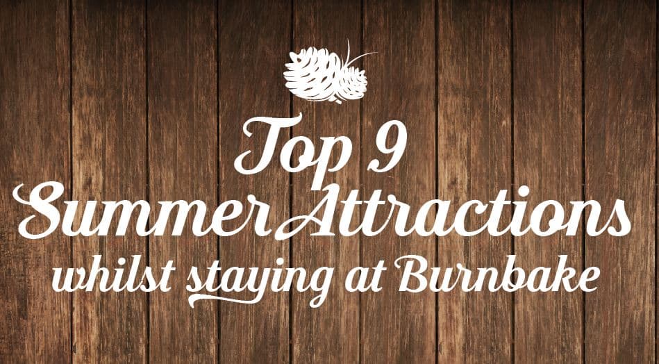 Top 9 family attractions to enjoy whilst staying at Burnbake Forest Lodges