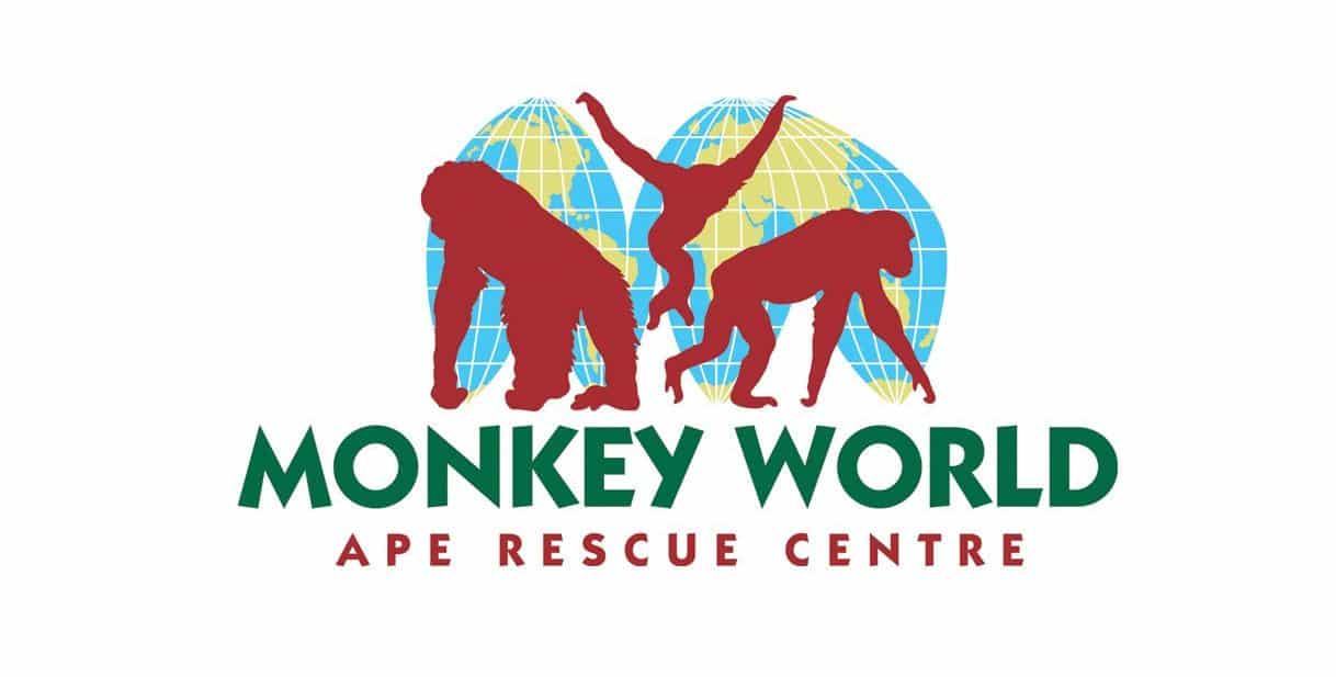 Monkey World - Ape Rescue Centre