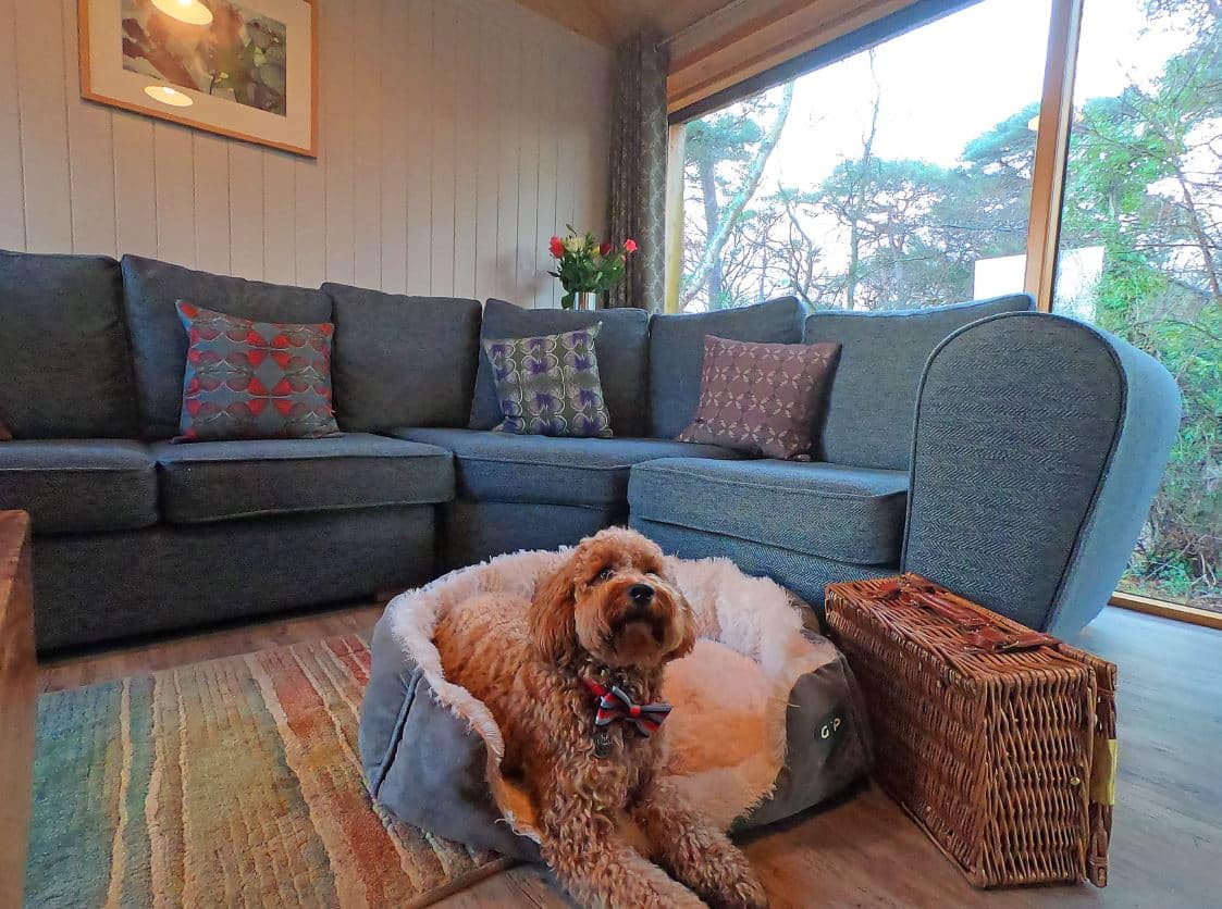 Burnbake Dog Friendly Lodges Dorset