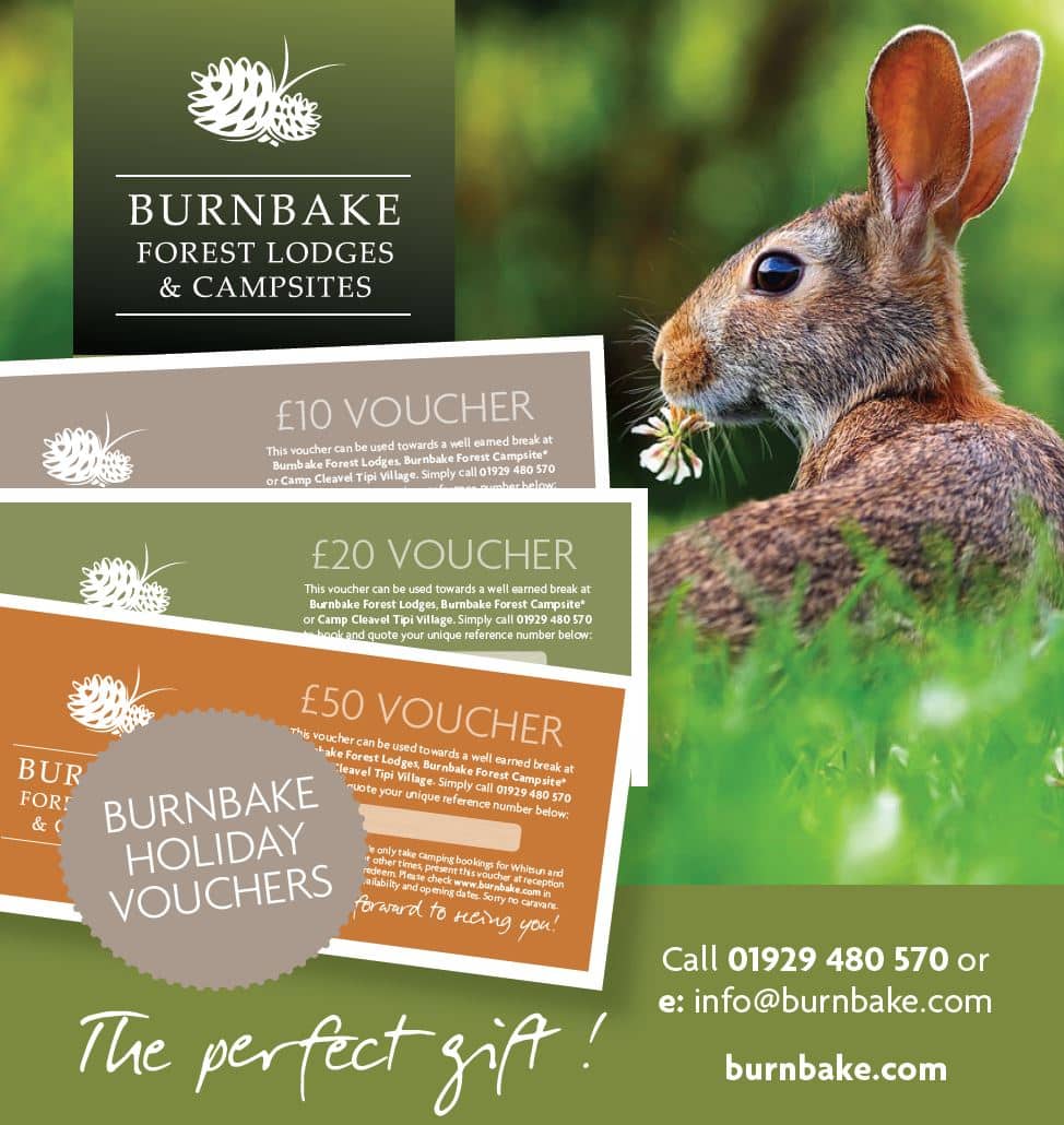 Our holiday vouchers let you treat yourself, friends or family members to an unforgettable lodge or camping experience, without committing to a date and time