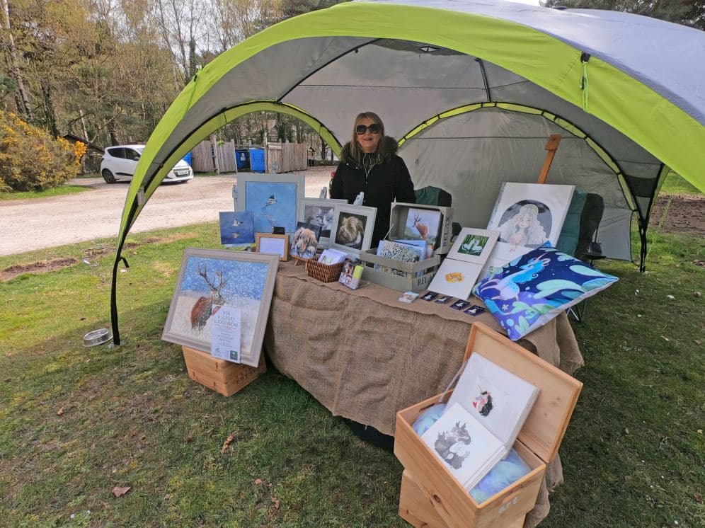 Dorset Dogfriendly Lodge Sponsored Walk At Burnbake Lodges Dorset Purbeck