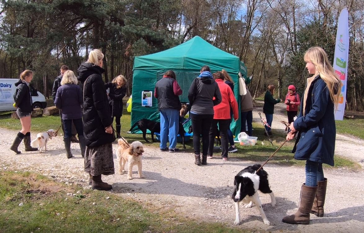 Dog Friendly Lodge Sponsored Walk At Burnbake Lodges Margaret Green Dorset Uk Purbeck