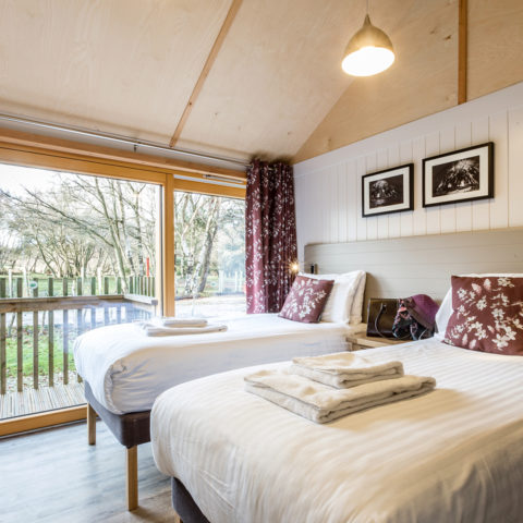 Burnbake Forest Lodges - 2 bedroom lodge sleeps 4