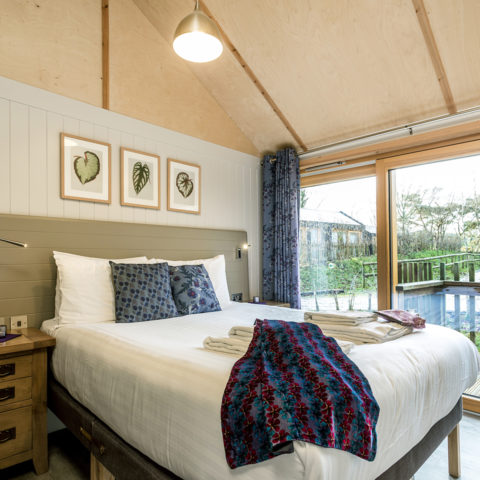 Burnbake Forest Lodges - 2 bedroom lodge sleeps 4
