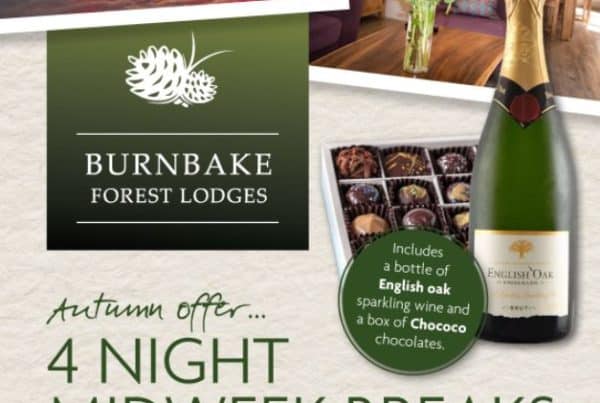 Burnbake Forest Lodges
