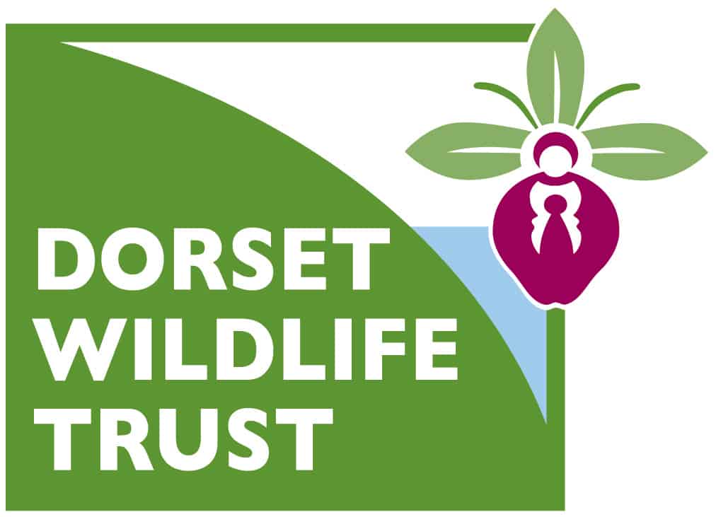 Purbeck Heaths National Nature Reserve Partner Dorset Wildlife Trust