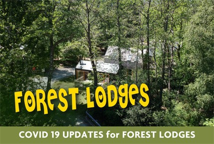 burnbake-forest-lodges-dorset