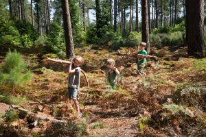 Three boys carry logs and tree trunks through a sunny forest.