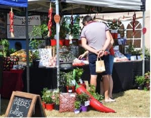 People looking at a stall, surrounded by chillis, at the Dorset Chilli Festival