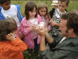 Group of children gathered around pots with grasshoppers at Durlston, Dorset