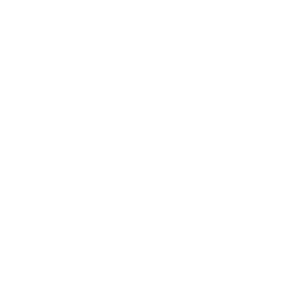 2021 Travellers' Choice