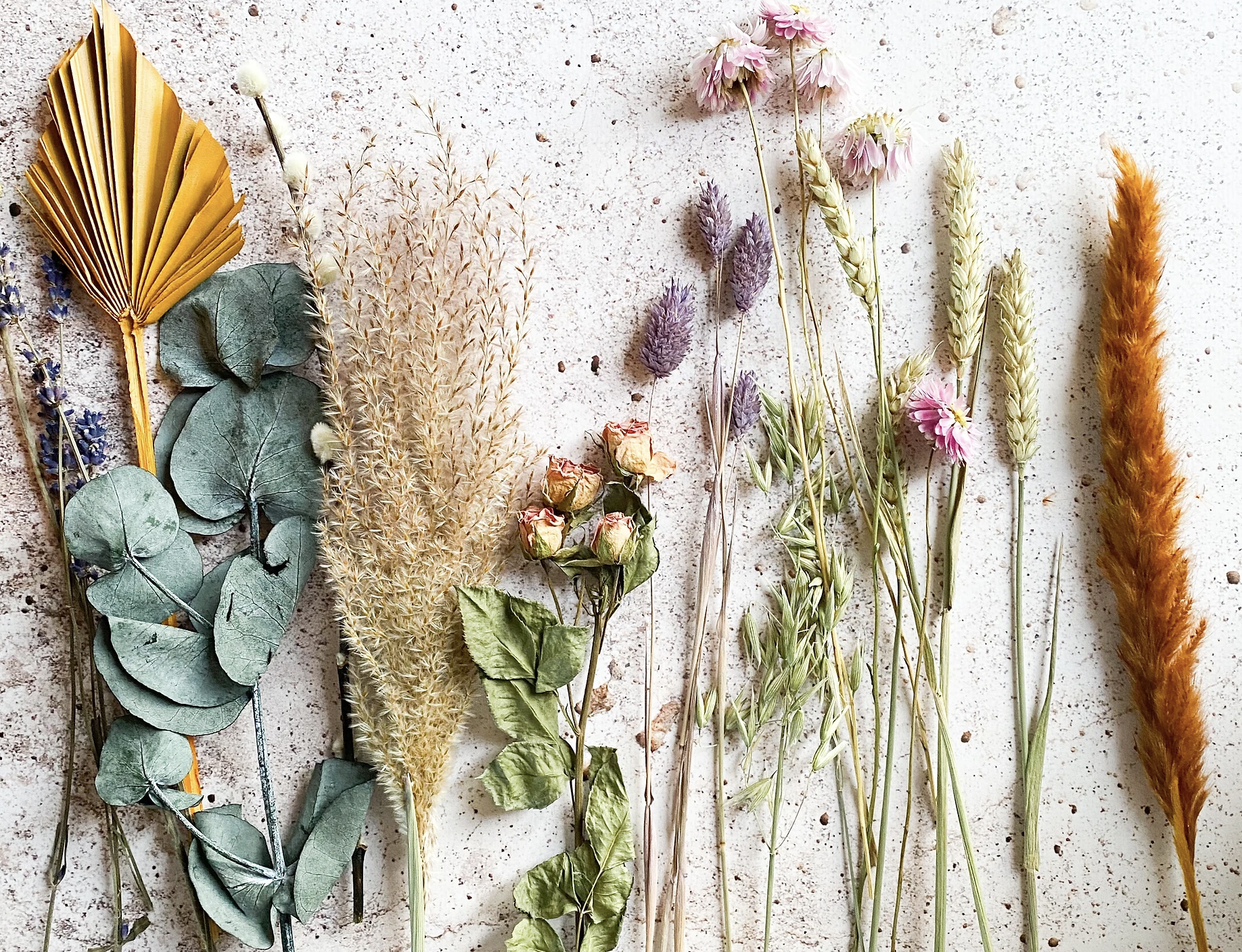 Dried flowers against a plain background.