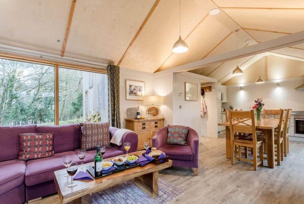 The interior of a Burnbake luxury lodge with purple sofa and wooden furnishings.