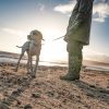 White dog on a beach with blue skies behind