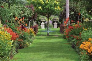 Holme For Gardens grass surrounded by flowers.