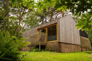 Exterior of Burnbake luxury lodge in Dorset with green foliage around