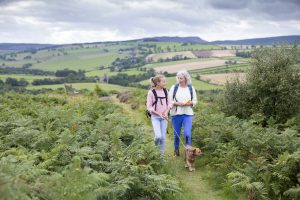 Two women walk through the Purbeck Heaths with their dog.