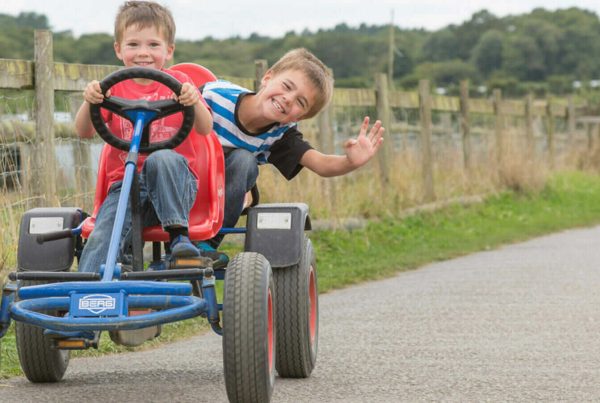Farmer Palmers Dorset Boys On Go Kart